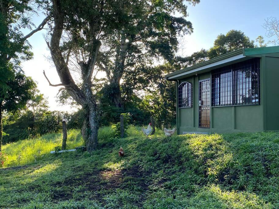 אפרטהוטל Tronadora Basecamp Arenal מראה חיצוני תמונה